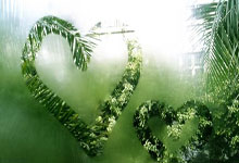 英国海滩惊现薯条海浪！大量油炸食品被冲上岸引围观