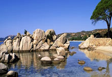 2026春节档前瞻，三部重磅影片定档，开启新年视听盛宴序幕